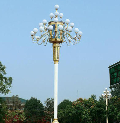 兴庆中华灯 兴庆中华灯